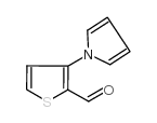 3-(1H-PYRROL-1-YL)-2-THIOPHENECARBALDEHYDE picture