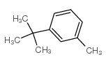 Benzene,1-(1,1-dimethylethyl)-3-methyl- picture