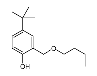 2-(butoxymethyl)-4-tert-butylphenol Structure