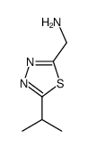 (5-propan-2-yl-1,3,4-thiadiazol-2-yl)methanamine结构式