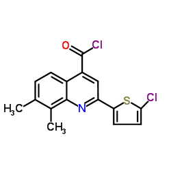 2-(5-Chloro-2-thienyl)-7,8-dimethyl-4-quinolinecarbonyl chloride Structure
