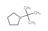 1-tert-butylpyrrolidine Structure