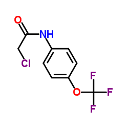 2-Chloro-N-[4-(trifluoromethoxy)phenyl]acetamide structure
