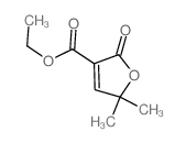 ethyl 5,5-dimethyl-2-oxo-furan-3-carboxylate picture