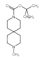 9-甲基-3,9-二氮杂螺[5.5]十一烷-3-羧酸 1,1-二甲基乙酯结构式