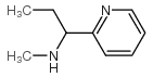 N-methyl-1-pyridin-2-ylpropan-1-amine Structure