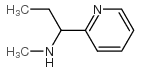 N-methyl-1-pyridin-2-ylpropan-1-amine图片