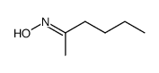 Hexan-2-on-oxim Structure