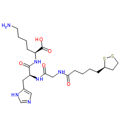 74N829H514 Structure