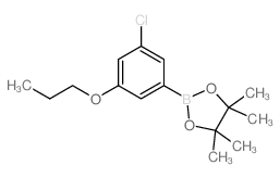 2-(3-CHLORO-5-PROPOXYPHENYL)-4,4,5,5-TETRAMETHYL-1,3,2-DIOXABOROLANE picture