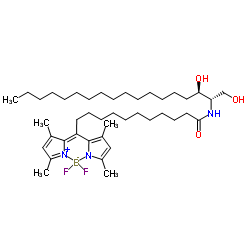 {N-[(2S,3R)-1,3-Dihydroxy-2-octadecanyl]-12-(3,5-dimethyl-1H-pyrrol-2-yl-κN)-12-(3,5-dimethyl-2H-pyrrol-2-ylidene-κN)dodecanamidato}(difluoro)boron Structure