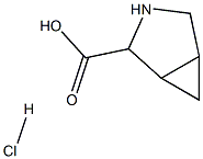 3-氮杂双环[3.1.0]己烷-2-羧酸盐酸盐图片