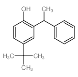 Phenol, 4-(1,1-dimethylethyl)-2-(1-phenylethyl)- Structure