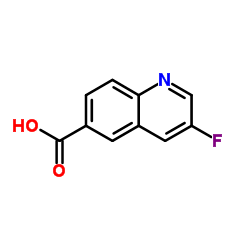 3-氟喹啉-6-羧酸结构式