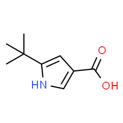 5-Tert-Butyl-1H-Pyrrole-3-Carboxylic Acid structure