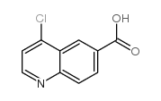 4-Chloroquinoline-6-carboxylic acid structure