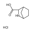 (1R,3S,4S)-2-AZABICYCLO[2.2.1]HEPTANE-3-CARBOXYLIC ACID HYDROCHLORIDE Structure