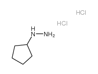 Cyclopentylhydrazine Dihydrochloride structure