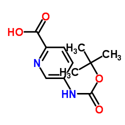 5-boc-氨基-2-吡啶羧酸图片