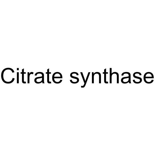 Citrate Synthase from porcine heart ammonium sulfate suspension Structure