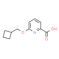 6-(Cyclobutylmethoxy)pyridine-2-carboxylic acid Structure