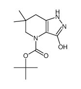 1251000-23-3 structure