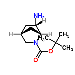 2-Methyl-2-propanyl (1R,4R,6S)-6-amino-2-azabicyclo[2.2.1]heptane-2-carboxylate结构式