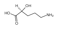 (S)-2-hydroxy-5-aminopentanoic acid Structure