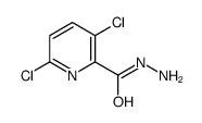 3,6-dichloropyridine-2-carbohydrazide structure