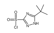 5-叔丁基-1H-1,2,4-噻唑-3-磺酰氯结构式
