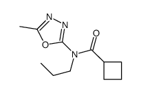 N-(5-methyl-1,3,4-oxadiazol-2-yl)-N-propylcyclobutanecarboxamide Structure