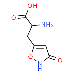 homoibotenic acid Structure