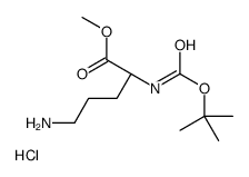 Boc-L-Ornithine Methyl Ester HCl结构式