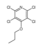 tetrachloro-4-propoxypyridine结构式