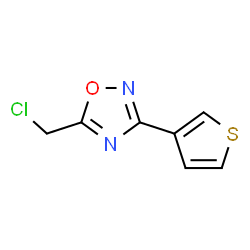 5-(1-Chloro-2-methylpropan-2-yl)-3-(thiophen-2-yl)-1,2,4-oxadiazole Structure