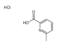 2-Pyridinecarboxylic acid, 6-Methyl-, hydrochloride picture