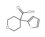 4-Thien-2-yltetrahydro-2H-pyran-4-carboxylic acid 97 Structure