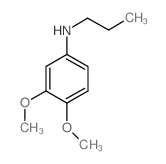 PROPYL-(3,4-DIMETHOXY-PHENYL)-AMINE结构式