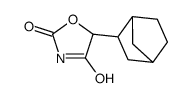 5-(3-bicyclo[2.2.1]heptanyl)-1,3-oxazolidine-2,4-dione结构式