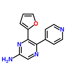 6-(2-Furyl)-5-(4-pyridinyl)-2-pyrazinamine Structure