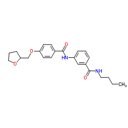 N-Butyl-3-{[4-(tetrahydro-2-furanylmethoxy)benzoyl]amino}benzamide结构式