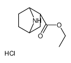 (1S,2S,4R)-ETHYL 7-AZABICYCLO[2.2.1]HEPTANE-2-CARBOXYLATE HYDROCHLORIDE picture