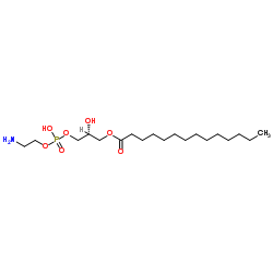 1-Myristoyl-2-hydroxy-sn-glycero-3-PE structure