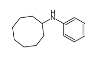 N-phenylcyclooctanamine Structure