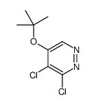 3,4-dichloro-5-[(2-methylpropan-2-yl)oxy]pyridazine结构式