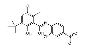 3-tert-butyl-5-chloro-N-(2-chloro-4-nitrophenyl)-2-hydroxy-6-methylbenzamide结构式