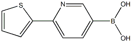 (6-(thiophen-2-yl)pyridin-3-yl)boronic acid结构式