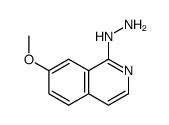 1-hydrazino-7-methoxyisoquinoline Structure