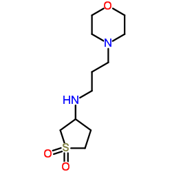 N-[3-(4-Morpholinyl)propyl]tetrahydro-3-thiophenamine 1,1-dioxide Structure