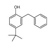 2-benzyl-4-tert-butylphenol Structure